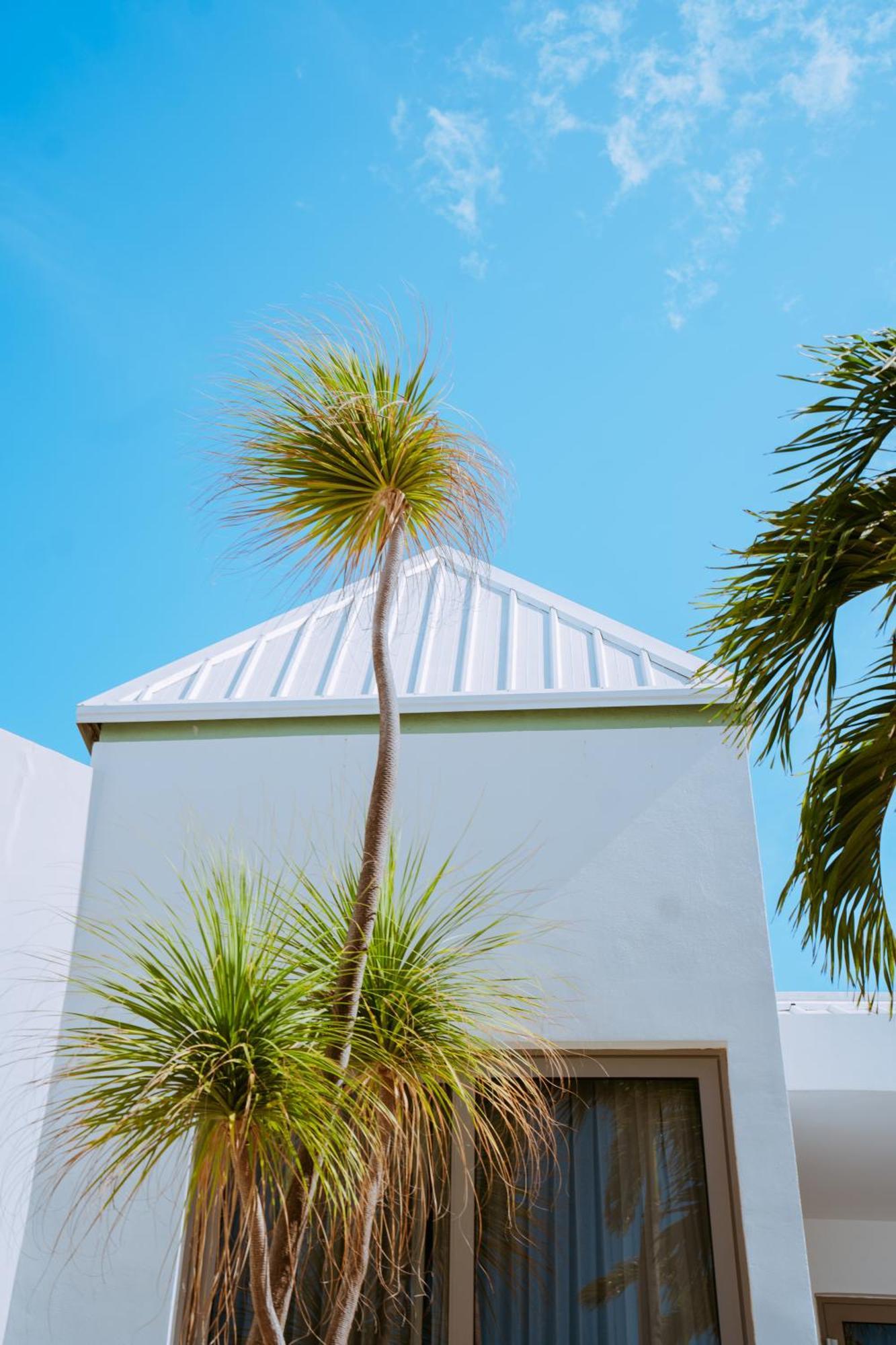 The Mill Resort And Suites Palm Beach Exteriér fotografie